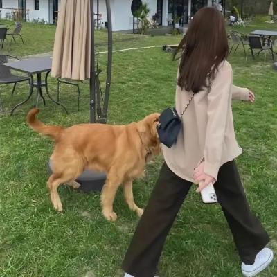 八角笼中